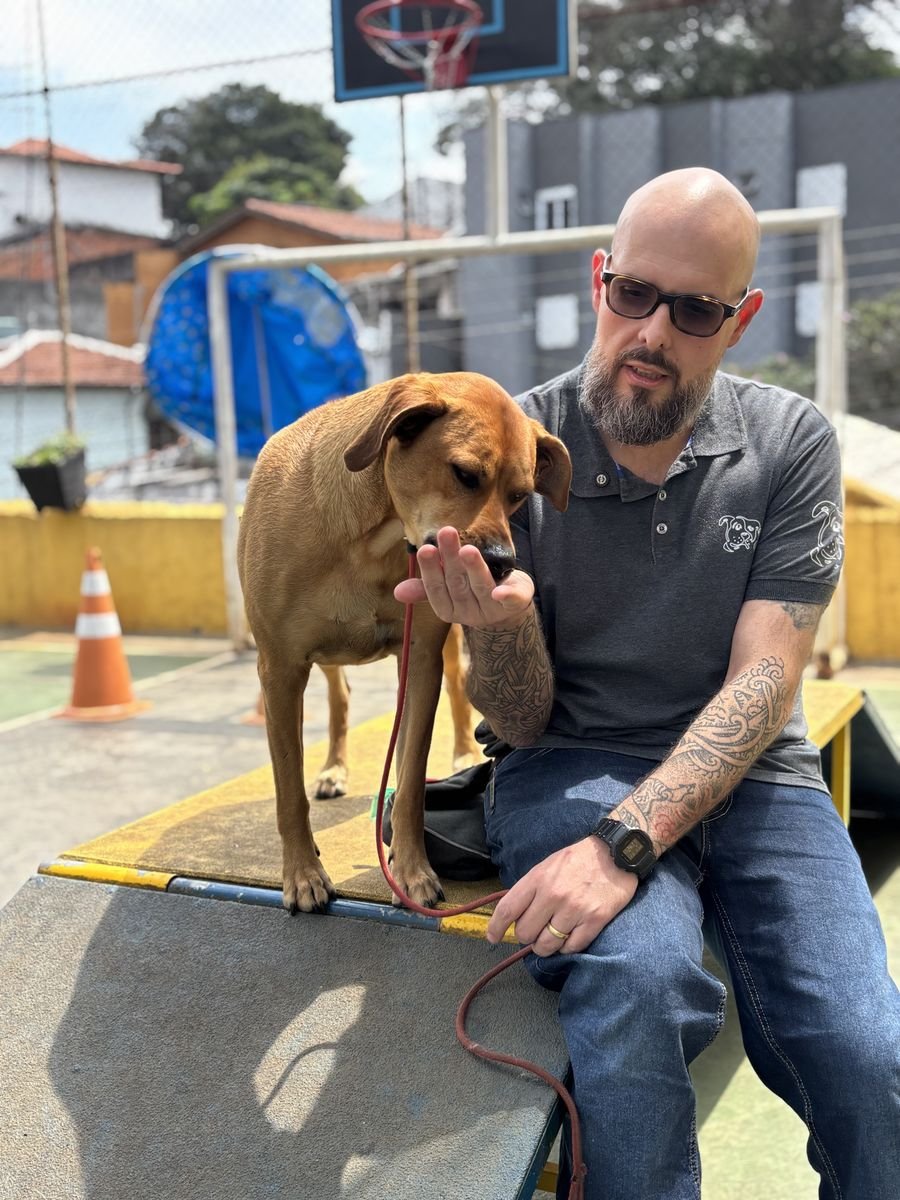 Treinador da Dog's College sentado com um cão no pátio